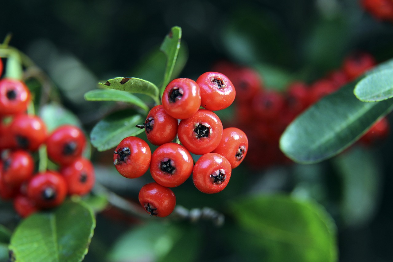 展身手的宝 展身手的宝