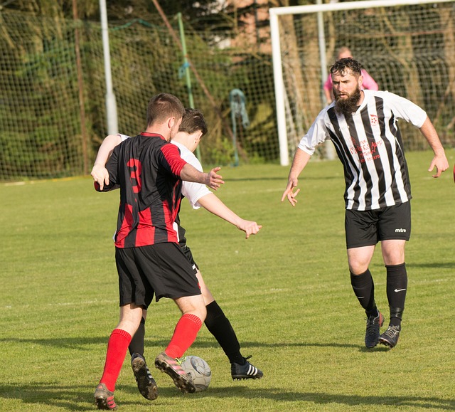 辰杰的恢复 辰杰的恢复