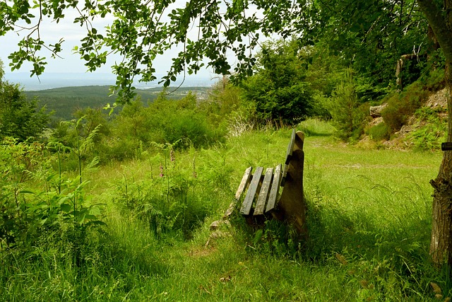 但老将体能 但老将体能